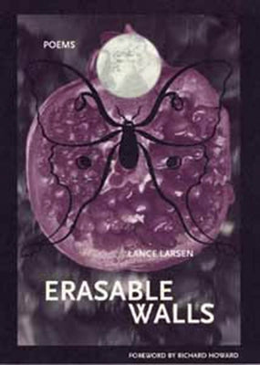 Erasable Walls by Larsen, Lance