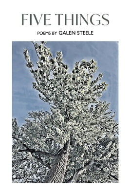 Five Things by Steele, Galen
