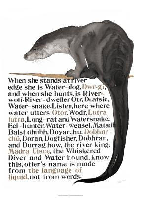 The Names of the Otter Poster by Morris, Jackie