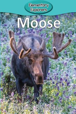 Moose by Blakemore, Victoria