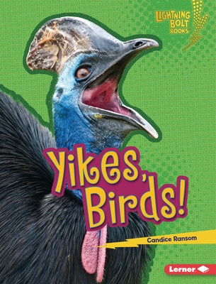 Yikes, Birds! by Ransom, Candice