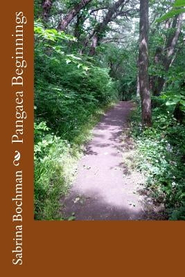 Pangaea Beginnings by Bochman, Sabrina