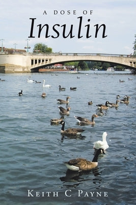 A Dose of Insulin by Payne, Keith C.