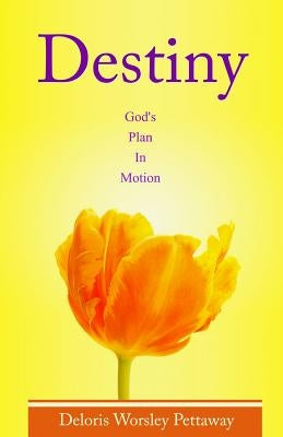 Destiny: God's Plan in Motion by Pettaway, Deloris W.