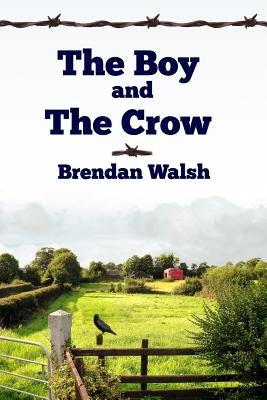 The Boy and the Crow by Walsh, Brendan