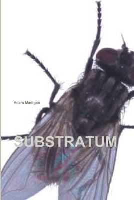 Substratum by Madigan, Adam
