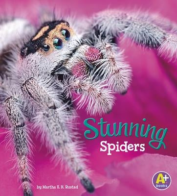 Stunning Spiders by Rustad, Martha E. H.