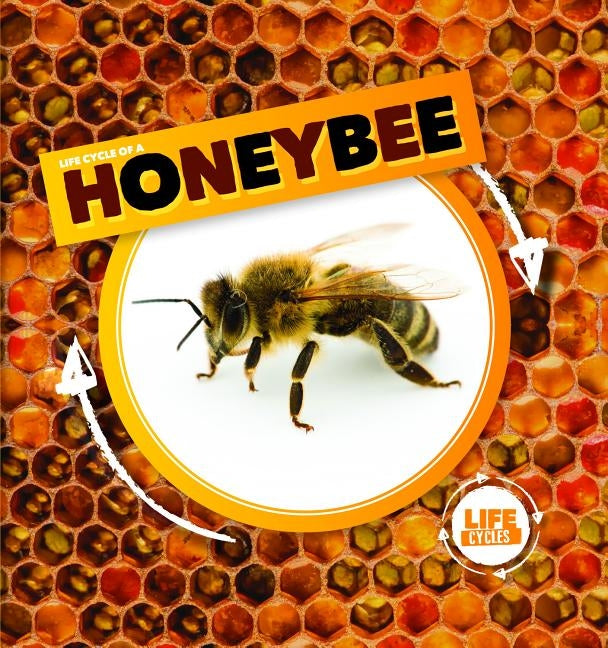 Life Cycle of a Honeybee by Holmes, Kirsty