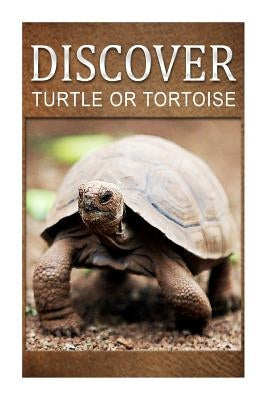 Turtle Or Tortoise - Discover: Early reader's wildlife photography book by Press, Discover