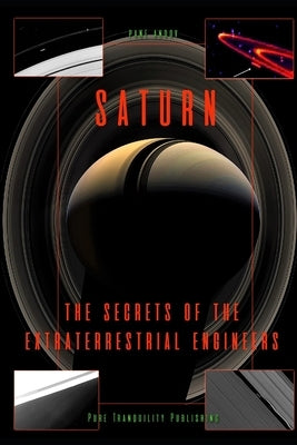 Saturn: The Secrets of the Extraterrestrial Engineers by Andov, Pane