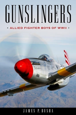 Gunslingers: Allied Fighter Boys of WWII by Busha, James P.