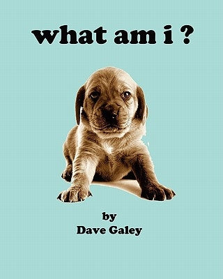 what am i by Galey, Dave