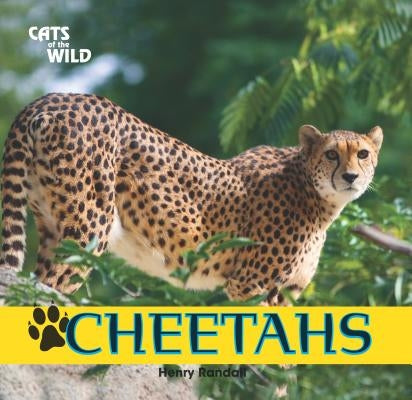 Cheetahs by Randall, Henry