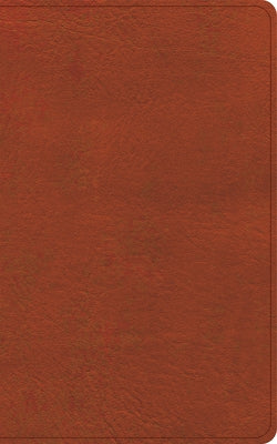 CSB Single-Column Personal Size Reference Bible, Burnt Sienna Leathertouch by Csb Bibles by Holman