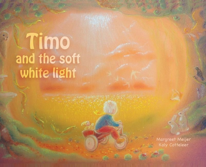 Timo and the soft white light by Meijer, Margreet
