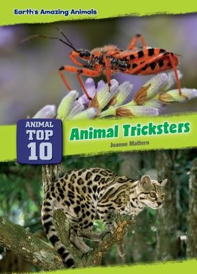 Animal Tricksters by Mattern, Joanne