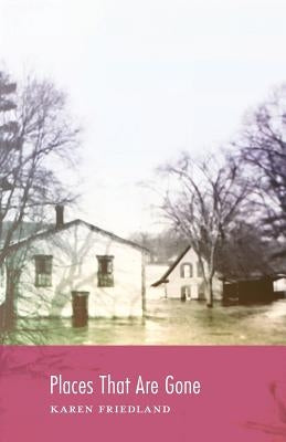 Places That Are Gone by Friedland, Karen
