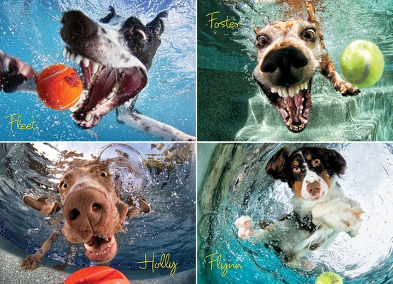 Underwater Dogs: Play Ball 1000-Piece Puzzle by Seth Casteel
