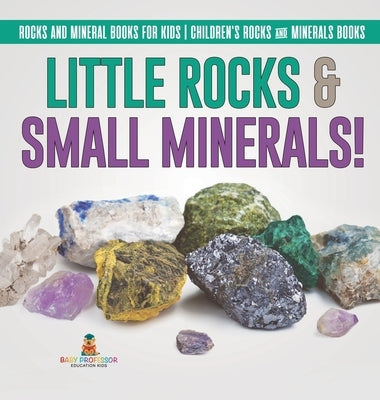 Little Rocks & Small Minerals! Rocks And Mineral Books for Kids Children's Rocks & Minerals Books by Baby Professor