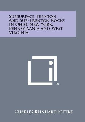 Subsurface Trenton and Sub-Trenton Rocks in Ohio, New York, Pennsylvania and West Virginia by Fettke, Charles Reinhard