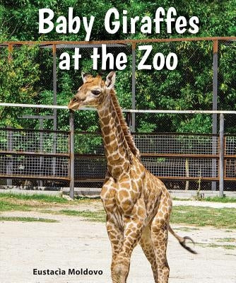 Baby Giraffes at the Zoo by Moldovo, Eustacia