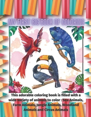 My First Big Book of Coloring - This adorable coloring book is filled with a wide variety of animals to color: Sea Animals, Farm Animals, Jungle Anima by Warren, Maria