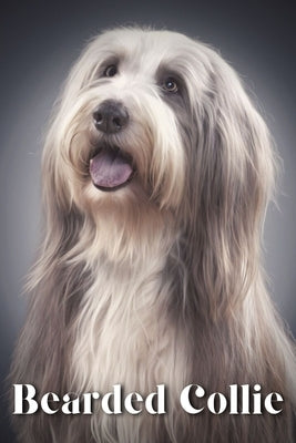 Bearded Collie: Dog breed overview and guide by Pustova, Nina