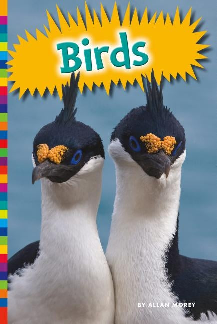 Birds by Morey, Allan