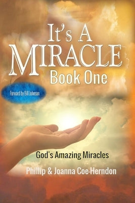 It's A Miracle book one: God's Amazing Miracles by Herndon, Phillip R.