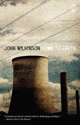 Down to Earth by Wilkinson, John