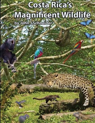 Costa Rica's Magnificent Wildlife by Schneider, John J.