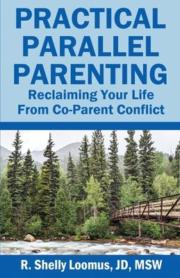 Practical Parallel Parenting: Practical Parallel Parenting by Loomus, Jd Msw