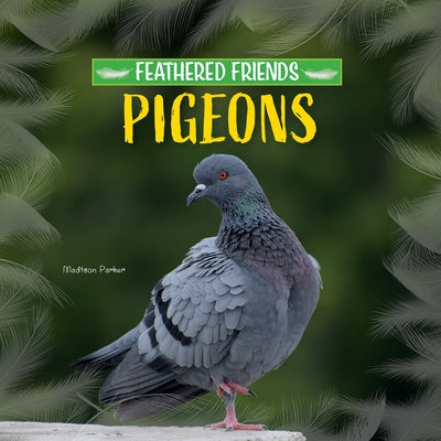 Pigeons by Parker, Madison