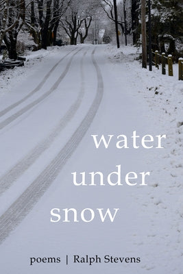 Water under Snow by Stevens, Ralph