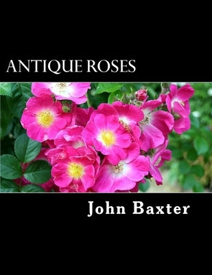 Antique Roses by Baxter, John