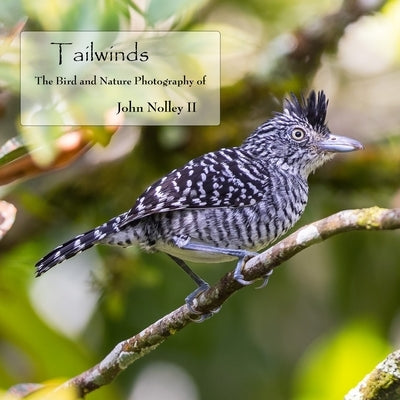 Tailwinds: The Bird and Nature Photography of John Nolley II by Nolley, John