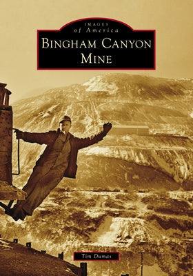 Bingham Canyon Mine by Dumas, Tim