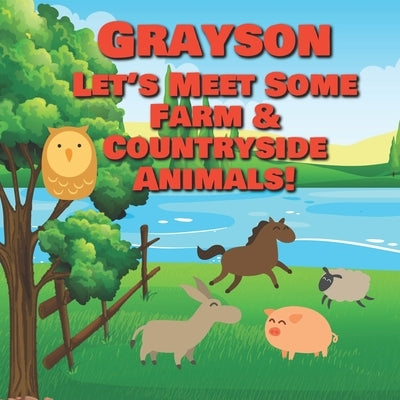 Grayson Let's Meet Some Farm & Countryside Animals!: Farm Animals Book for Toddlers - Personalized Baby Books with Your Child's Name in the Story - Ch by Publishing, Chilkibo