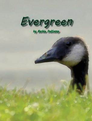 Evergreen by Barbie Delcamp