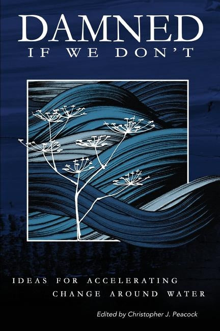 Damned if We Don't!: Ideas for accelerating change around water by Grant, Jon