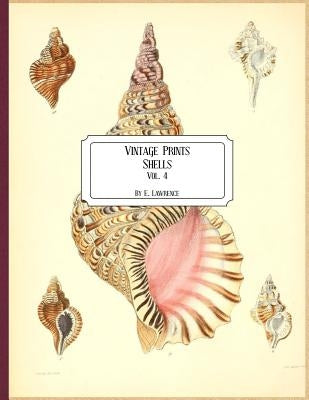 Vintage Prints: Shells: Vol. 4 by Lawrence, E.