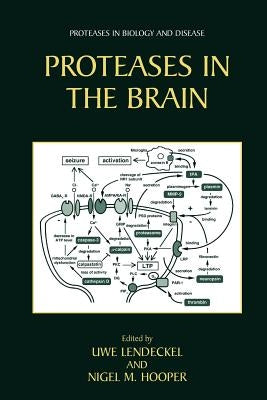 Proteases in the Brain by Lendeckel, Uwe