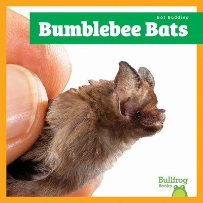 Bumblebee Bats by Gleisner, Jenna Lee