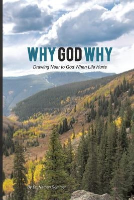 Why God Why by Sommer, Nathan