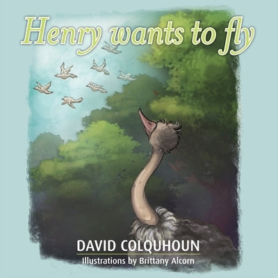 Henry wants to fly by Colquhoun, David
