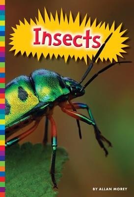 Insects by Morey, Allan