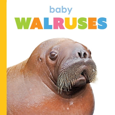Baby Walruses by Thompson, Kim