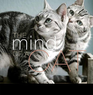 The Mind of a Cat by Blaylock, Liz Abeler
