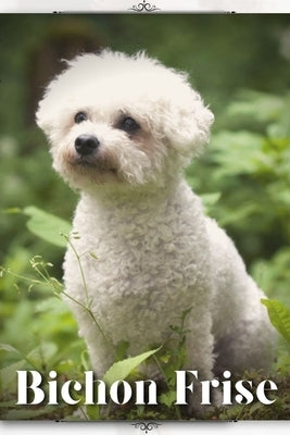 Bichon Frise: Dog breed overview and guide by Pustova, Nina