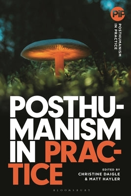 Posthumanism in Practice by Hayler, Matthew